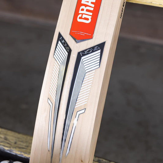 Gray Nicolls Nova XE Kashmir Willow Cricket Bat