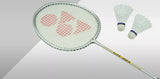 Yonex 4 Player Badminton Set (4 Racquets, 2 Shuttles, Net, Posts)