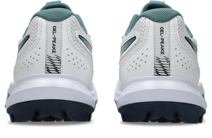 Asics Gel Peake 3 Cricket Shoe New 2026