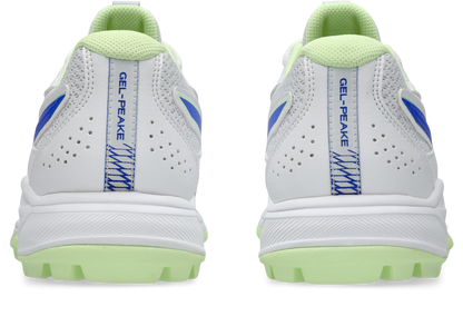 Asics Gel Peake 3 GS Cricket Shoe New 2026