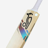 Kookaburra Aura 2.0 Short Handle English Willow Cricket Bat