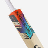 Kookaburra Aura 2.0 Short Handle English Willow Cricket Bat