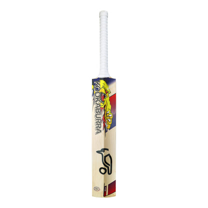 Kookaburra Beast Players Replica Alex Carey English Willow Cricket Bat