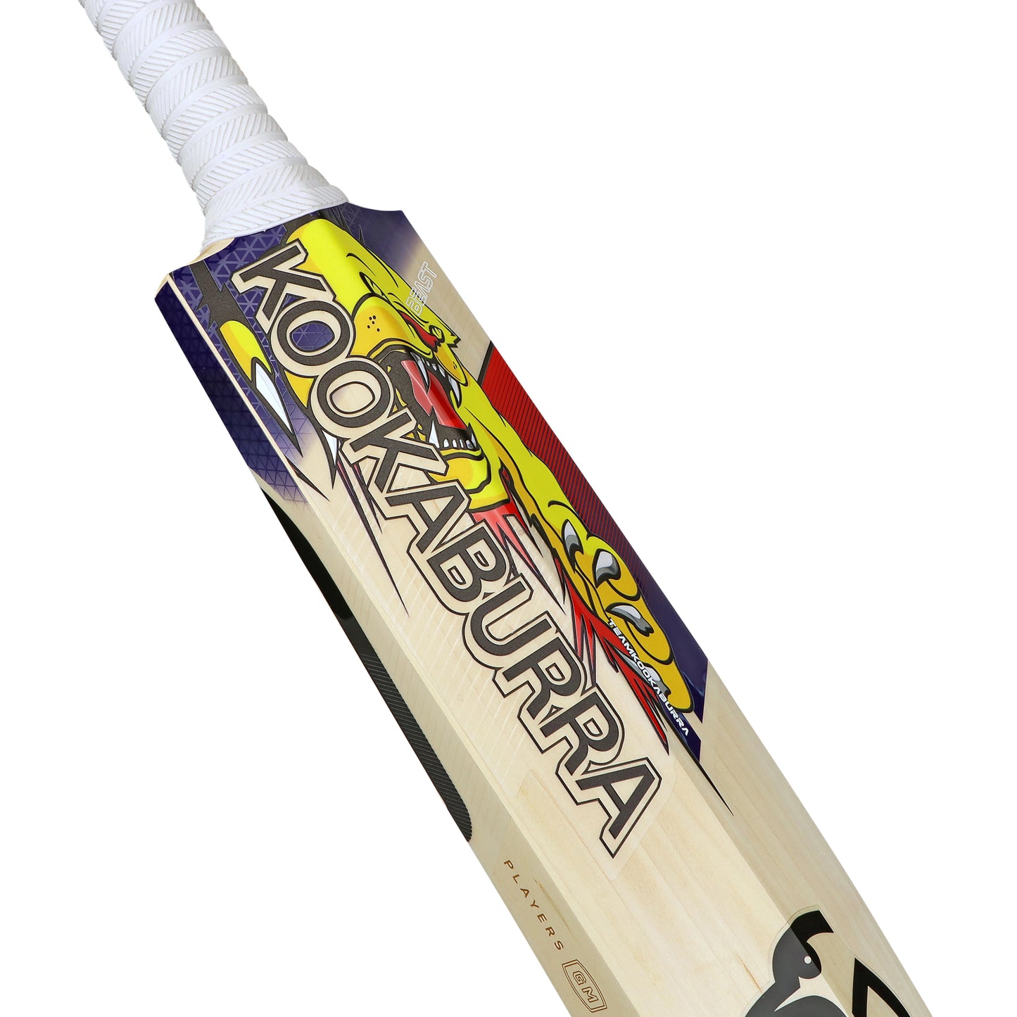 Kookaburra Best Glenn Maxwell Players Replica English Willow Cricket Bat