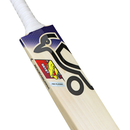 Kookaburra Best Glenn Maxwell Players Replica English Willow Cricket Bat