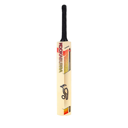 Kookaburra Diablo Pro 9.0 Kashmir Willow Cricket Bat