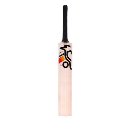 Kookaburra Diablo Pro 9.0 Kashmir Willow Cricket Bat