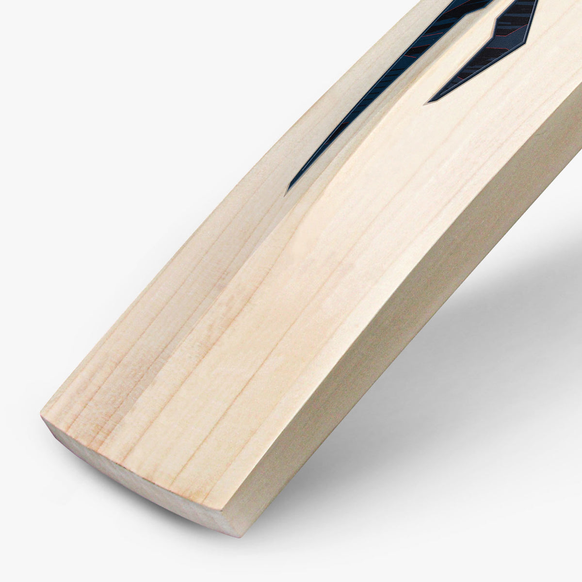 DSC BLAK 88 Junior English Willow Cricket Bat