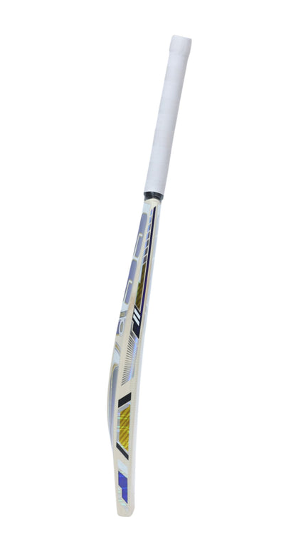 SS Master 100 Kashmir Willow Cricket Bat
