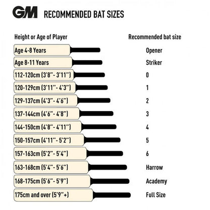 GM Brava Limited Edition English Willow Cricket Bat