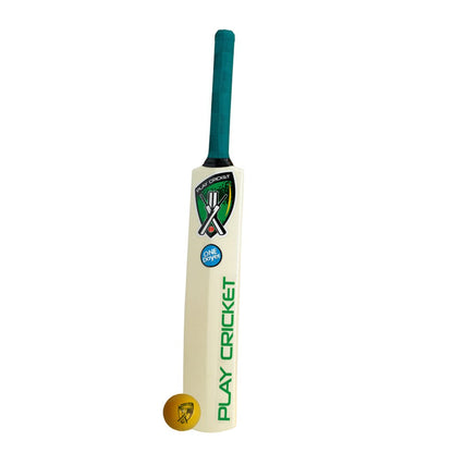 Junior Plastic Bat and Ball from Gray Nicolls