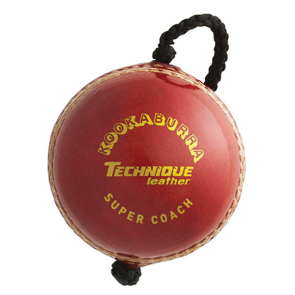 Kookaburra Hanging Ball