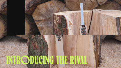 GM RIVAL DXM 909 TTNOW English Willow Cricket Bat