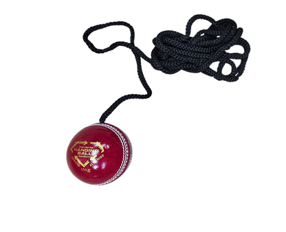 GA Cricket Batting Master Hanging/Training Ball