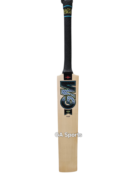 GM AION DXM 909 English Willow Cricket Bat
