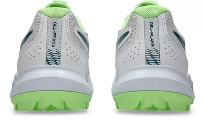 Asics Gel Peake 3 Cricket Rubber Shoe New 2026 White/Dark Teal