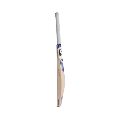 SG HP Flame English Willow Cricket Bat
