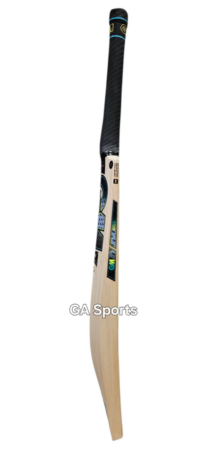 GM AION DXM 909 English Willow Cricket Bat