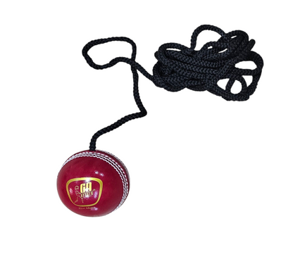 GA Cricket Batting Master Hanging/Training Ball