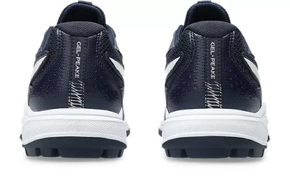 Asics Gel Peake 3 GS Cricket Shoe New 2026