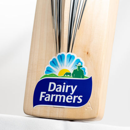 Gray Nicolls Travis Head TH123 Replica English Willow Cricket Bat