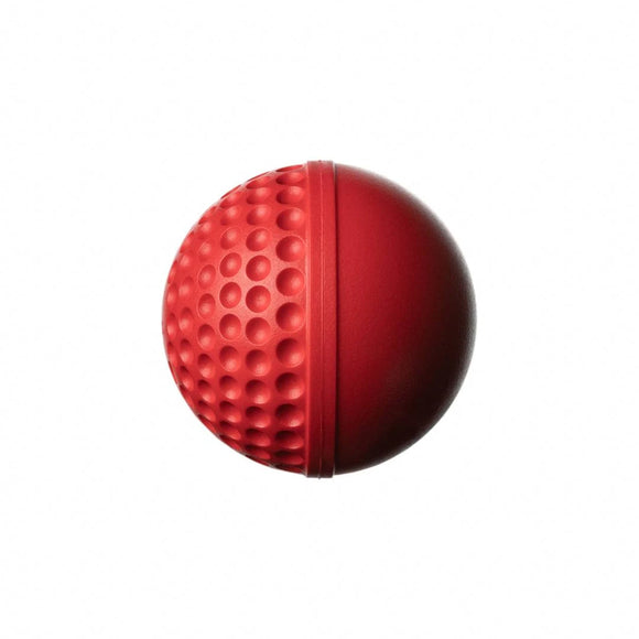GA SWINGA Technique Cricket Ball