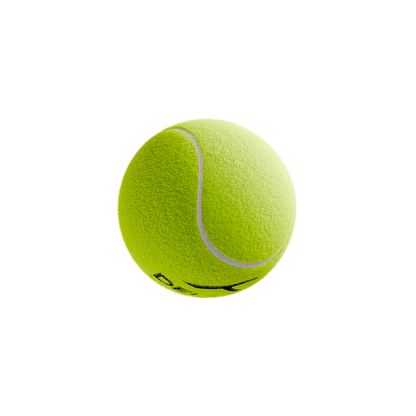 HUNDRED Delta Light Cricket Tennis Ball