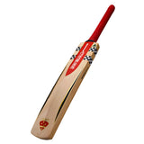 Gray Nicolls Giant Long Blade English Willow Cricket Bat New 2023