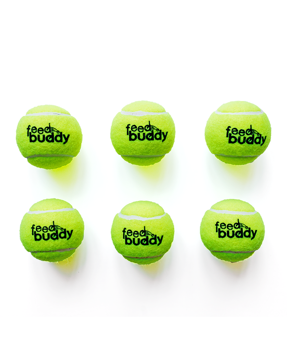 Feed Buddy Tennis Ball (Pack of 6)