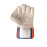 GA Limited Edition Wicket keeping Gloves